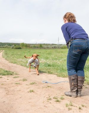 Odette van Regghe Valley uit Nijverdal speelt met Hongaarse jachthond buiten, hond heeft iets in zijn bek