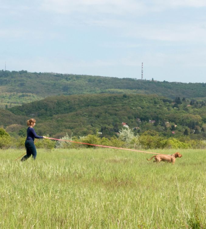 Odette met hond aan de lijn buiten in het landschap van Hongarije op jacht, ras Vizsla draadhaar