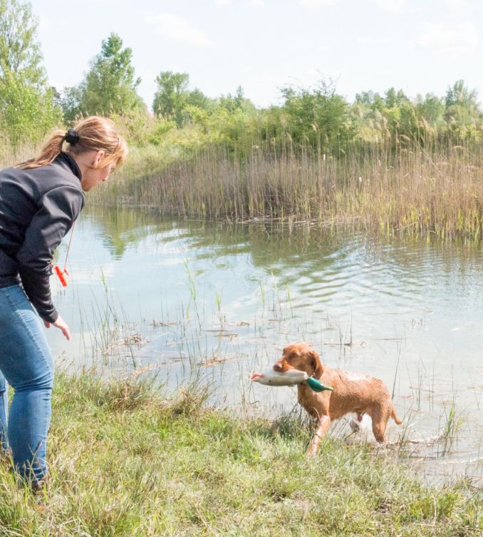 Hond komt met prooi in de bek uit het water en loopt richting baas Odette