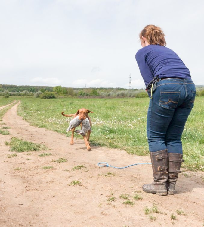 Hond met prooi in de bek loopt naar Odette toe, buiten in het land
