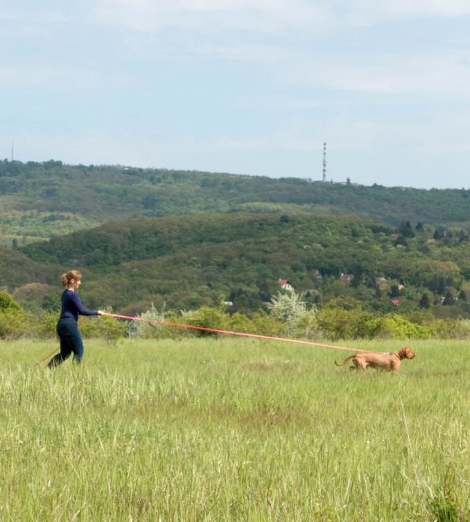 Odette met hond aan de lijn buiten in het landschap van Hongarije op jacht, ras Vizsla draadhaar